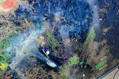 31cde9859-1575-4b5f-a2a4-de8bc06642d8