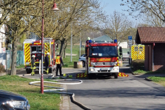 41338170-eba3-4230-843a-4f828b81f94b