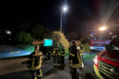 f1552dd1-50cb-46d2-9650-8e7437e0ed0b